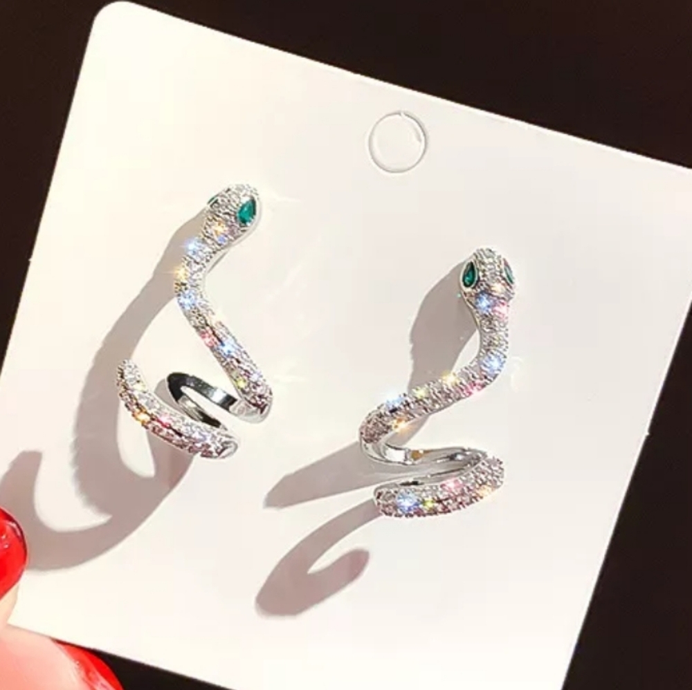 Snake silver earrings